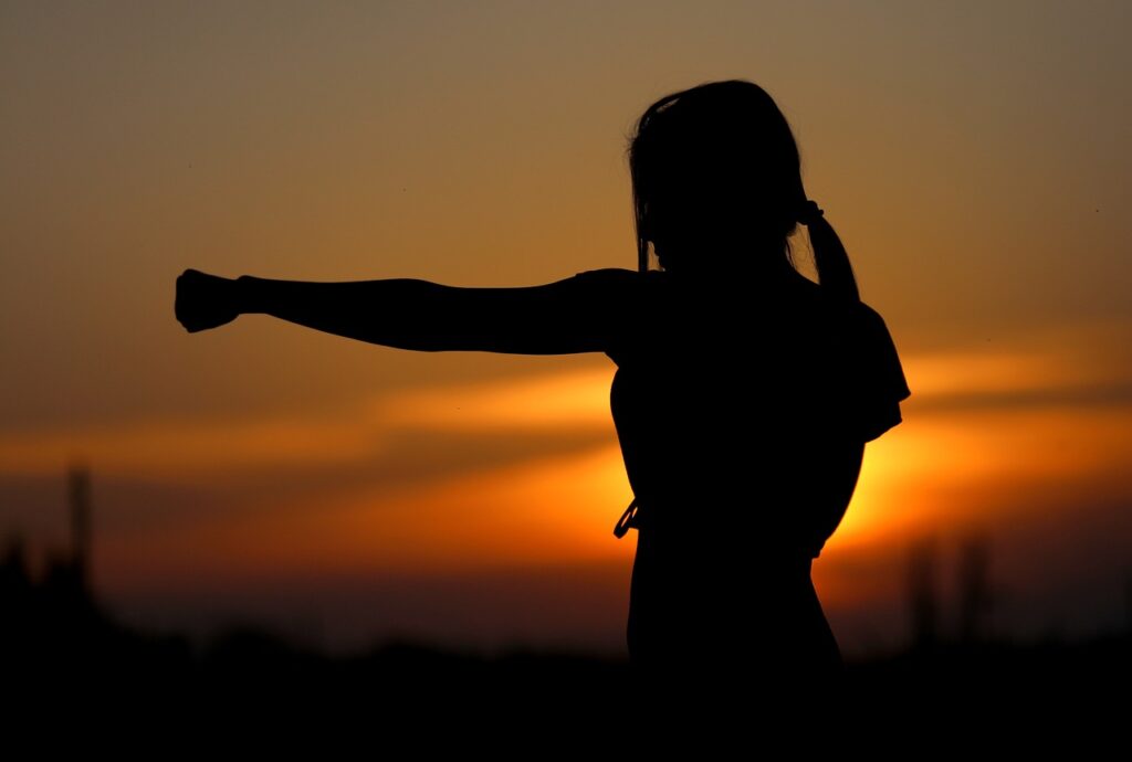 karate, sunset, fight, sports, silhouette, resistance, samurai, fit, girl, self-defense, defense, fist, brown sunset, brown sports, karate, karate, nature, fight, fight, fight, fight, fight, sports